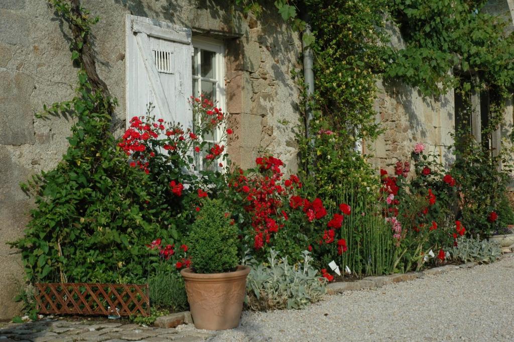 Bed and Breakfast Chateau De L'Oiseliniere Gorges  Экстерьер фото