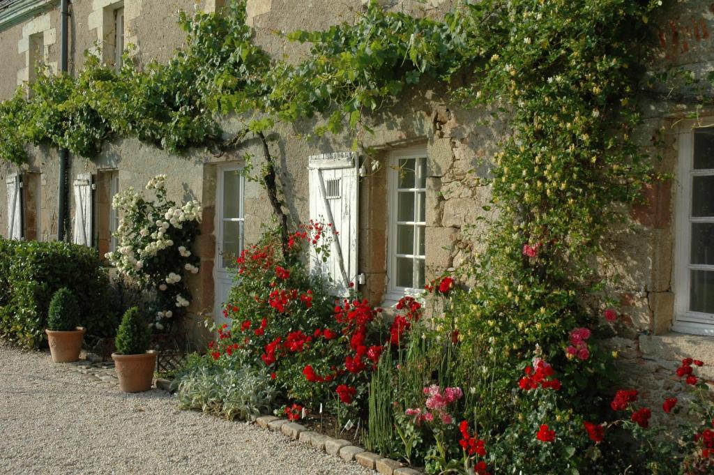 Bed and Breakfast Chateau De L'Oiseliniere Gorges  Экстерьер фото
